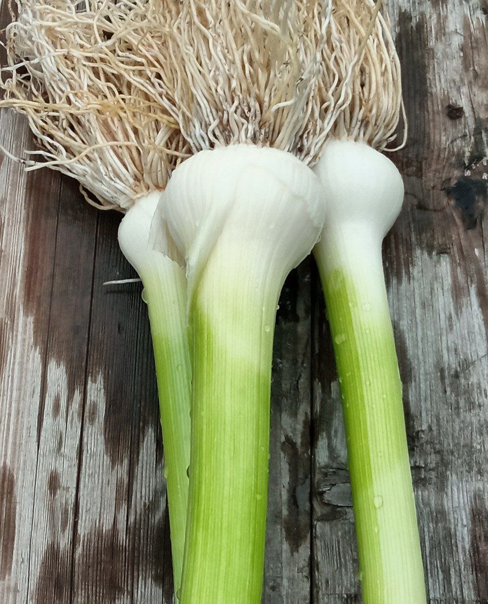 Фото автора. Листайте вправо.