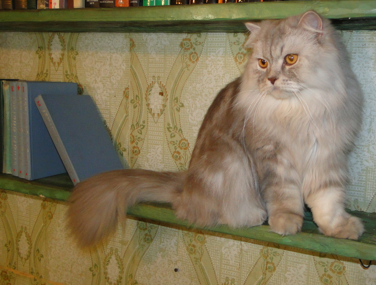 Фото из личного архива