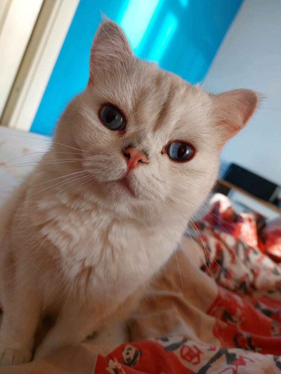 ФОТО ИЗ ЛИЧНОГО АРХИВА