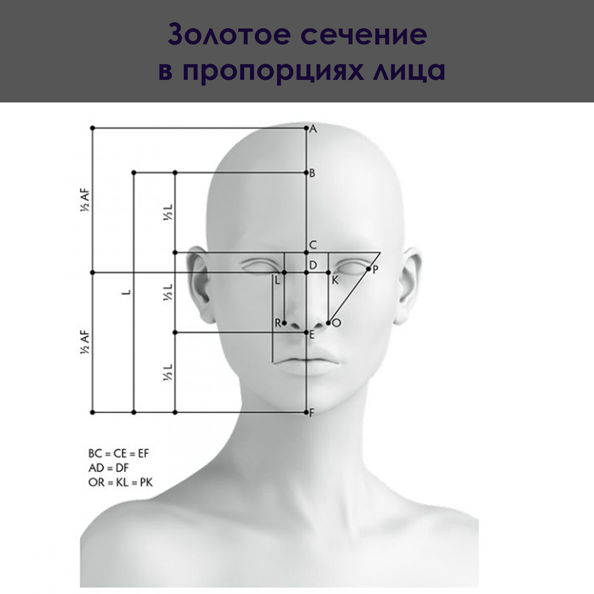 ЧИСЛО БОГА или ЗОЛОТОЕ СЕЧЕНИЕ