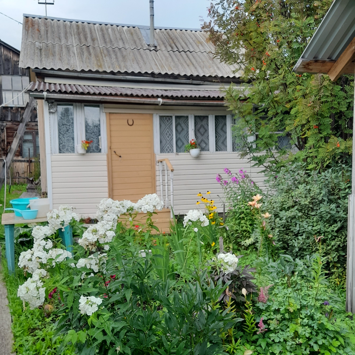 Фото автора. На даче