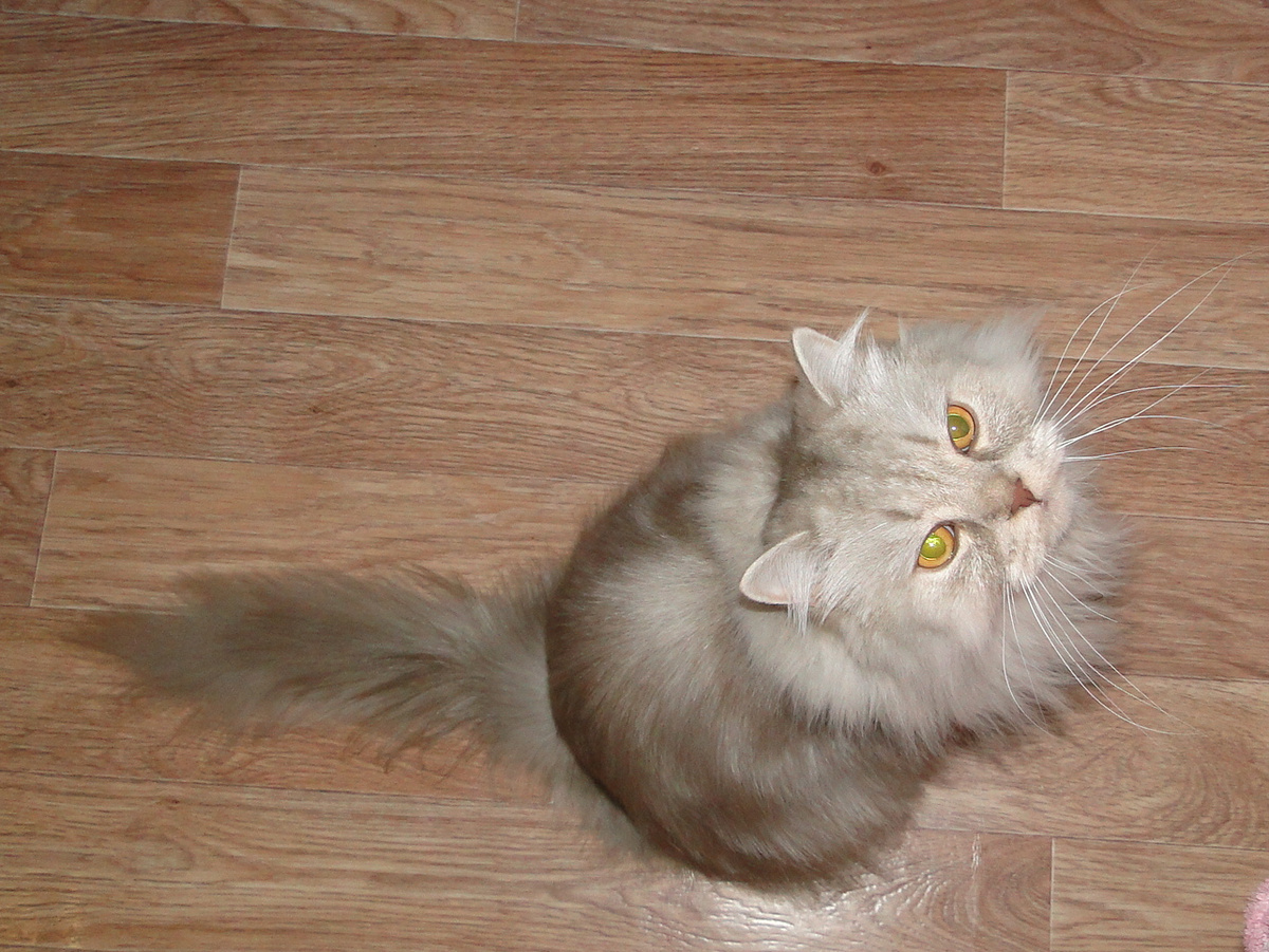 Фото из личного архива