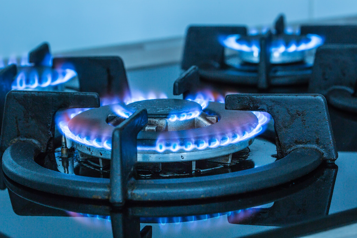 Фото: Marian Weyo/Shutterstock/Fotodom