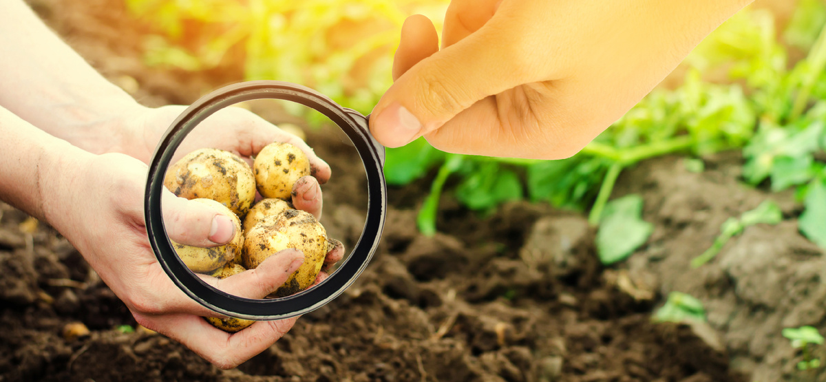 Фото: Andrii Yalanskyi/Shutterstock/Fotodom