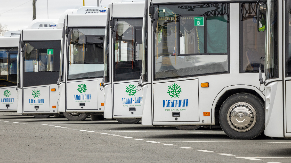 Фото: Воронов Фёдор/АНО "Ямал-Медиа"