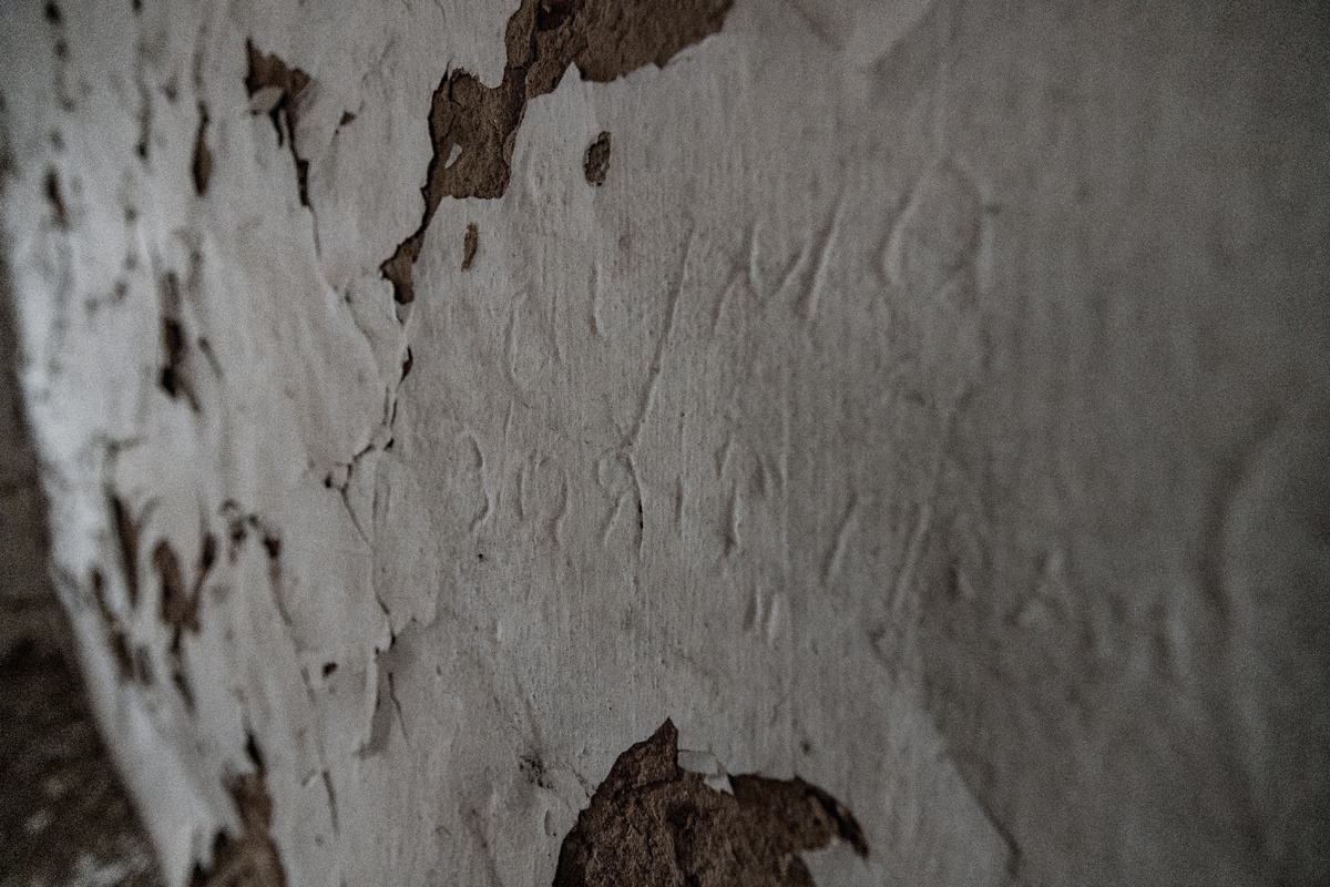 Фото: Сергей Зубков/АНО "Ямал-Медиа"