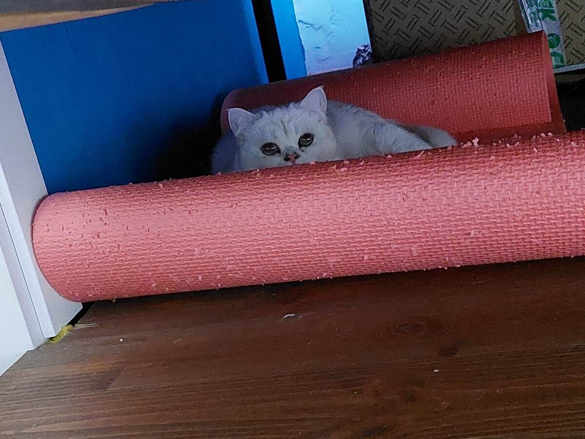 ФОТО ИЗ ЛИЧНОГО АРХИВА