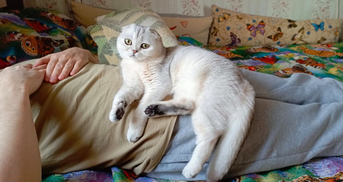 Фото из личного архива