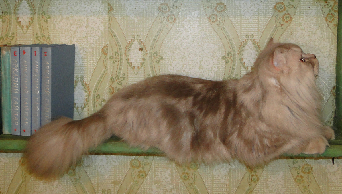 ФОТО ИЗ ЛИЧНОГО АРХИВА