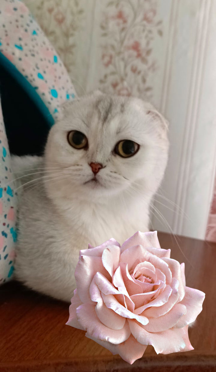 Фото из личного архива