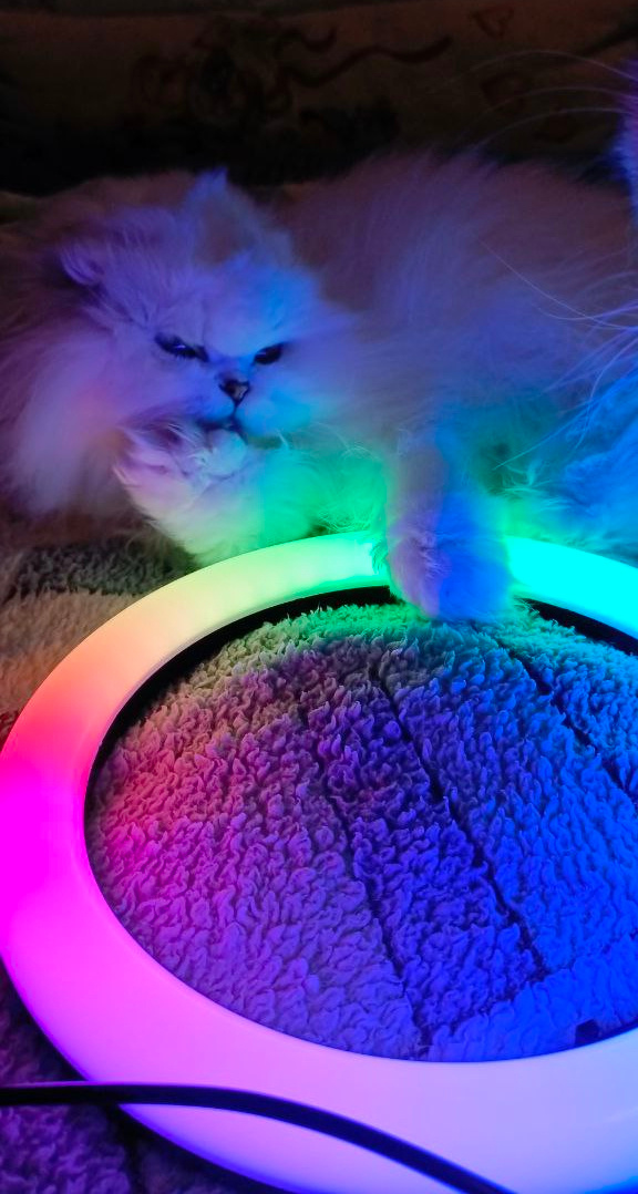 Фото из личного архива