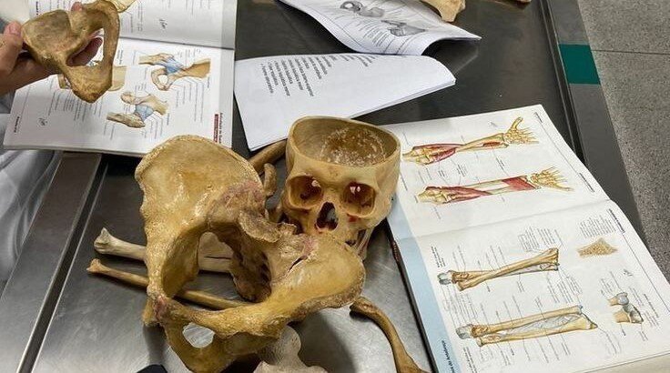 анатомичка