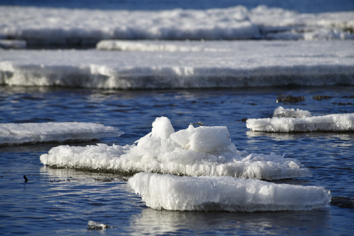 Фото: Андрей Ткачёв/АНО "Ямал-Медиа"