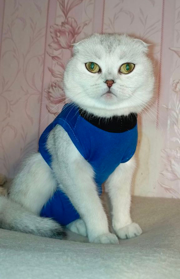 Фото из личного архива