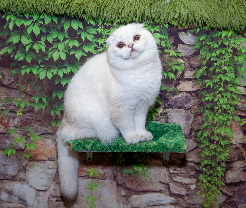 Фото из личного архива