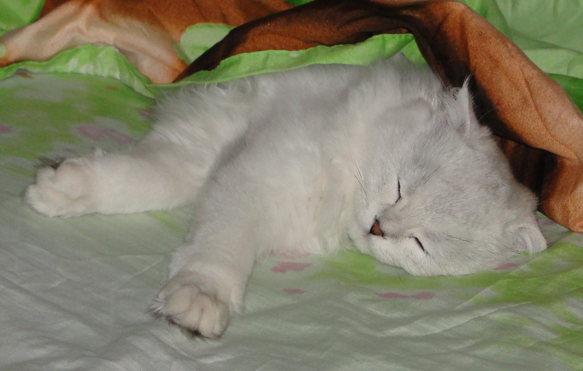 Фото из личного архива