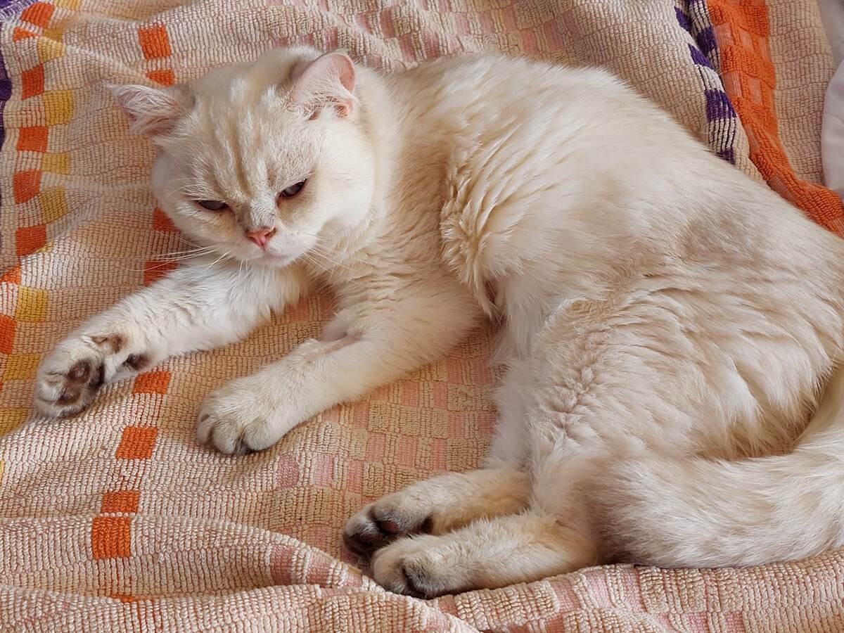 ФОТО ИЗ ЛИЧНОГО АРХИВА