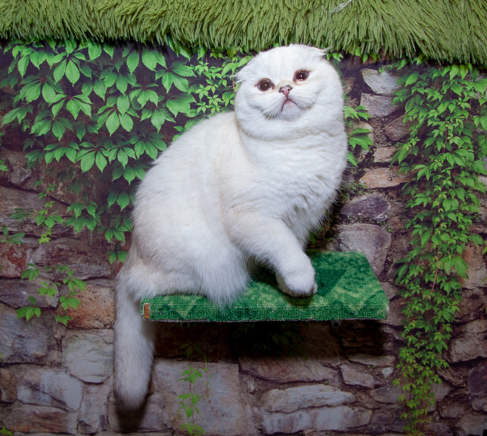 Фото из личного архива