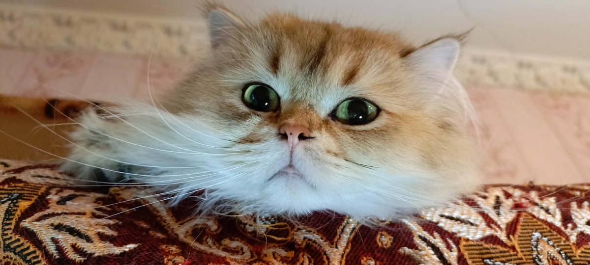 Фото из личного архива