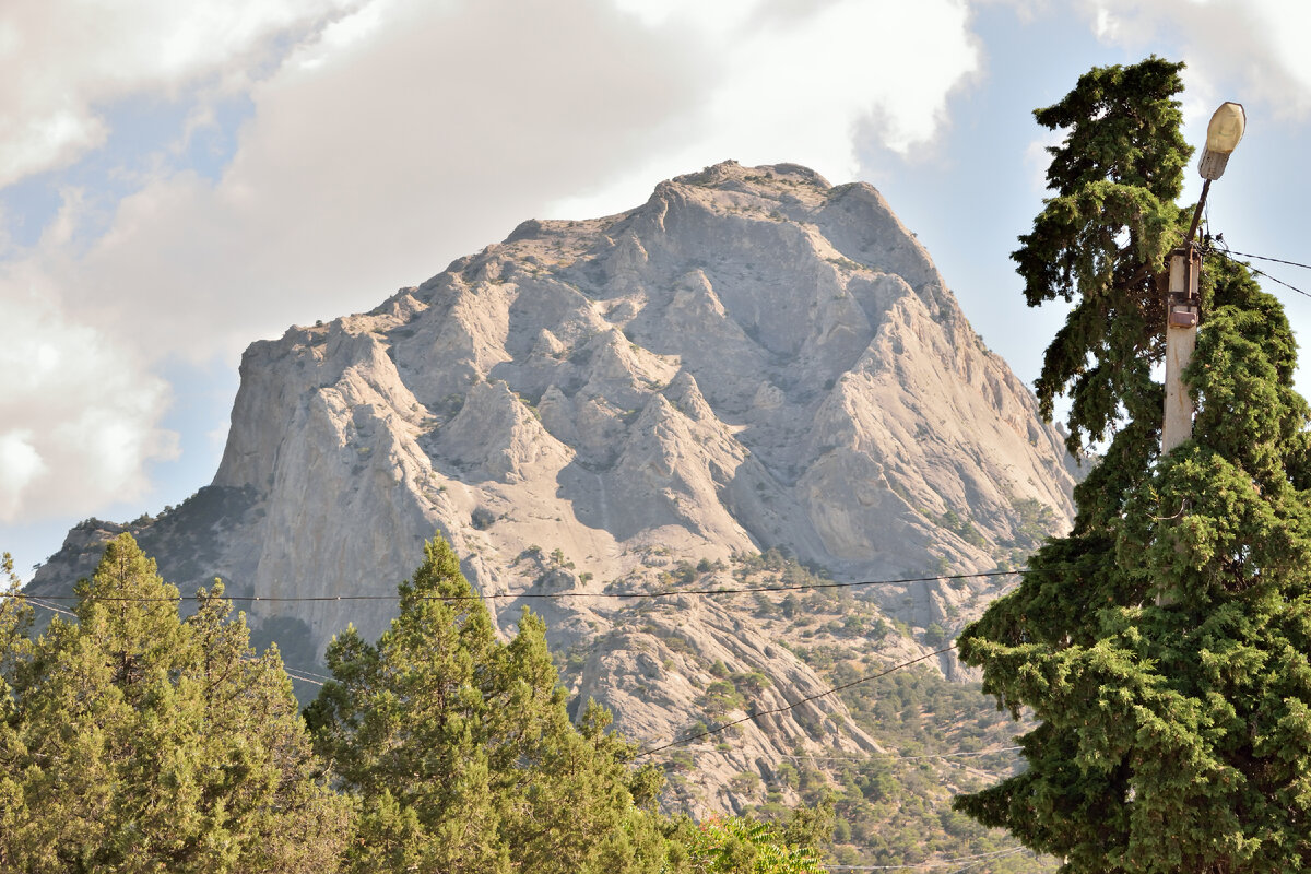 Фотография автора статьи. 