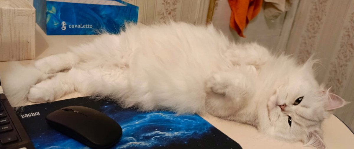 Фото из архива