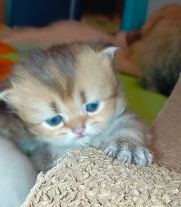 Фото из личного архива