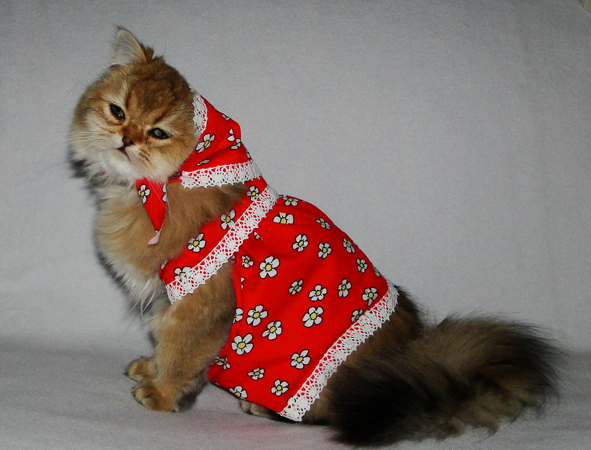 Оля не рыжая а золотая. Но тоже хороша!