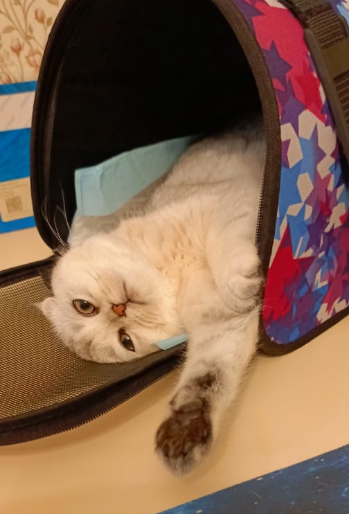 Фото из личного архива