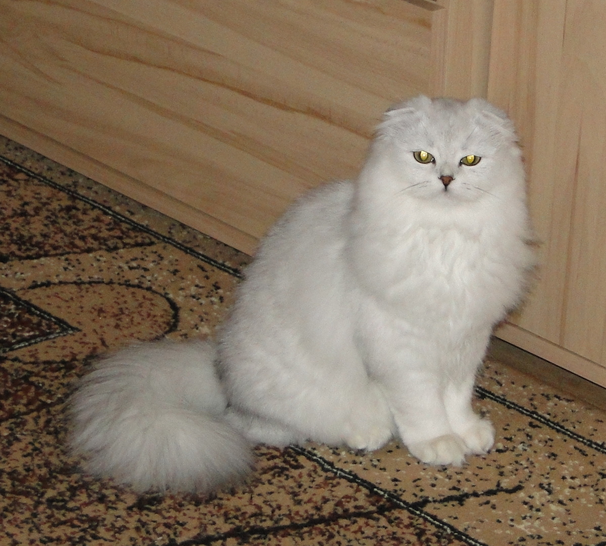 Фото из личного архива