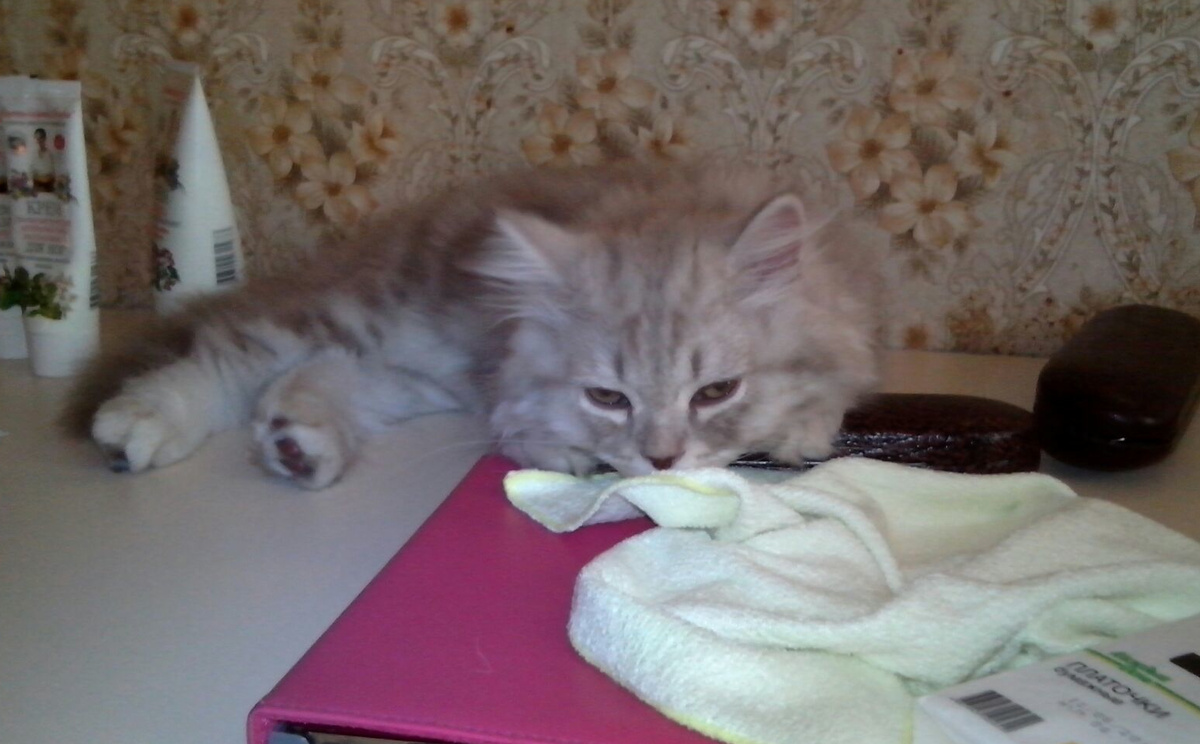 Фото из личного архива