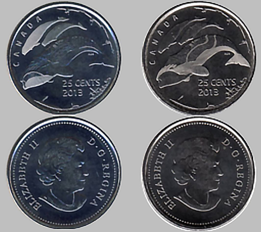 Канада 25 центов 2013 "Северные киты". Разновидность обработки штемпеля. На левой монете матовые маленькие киты и нижняя губа у большого. На правой монете матовое брюхо, хвост и плавник у большого кита. 