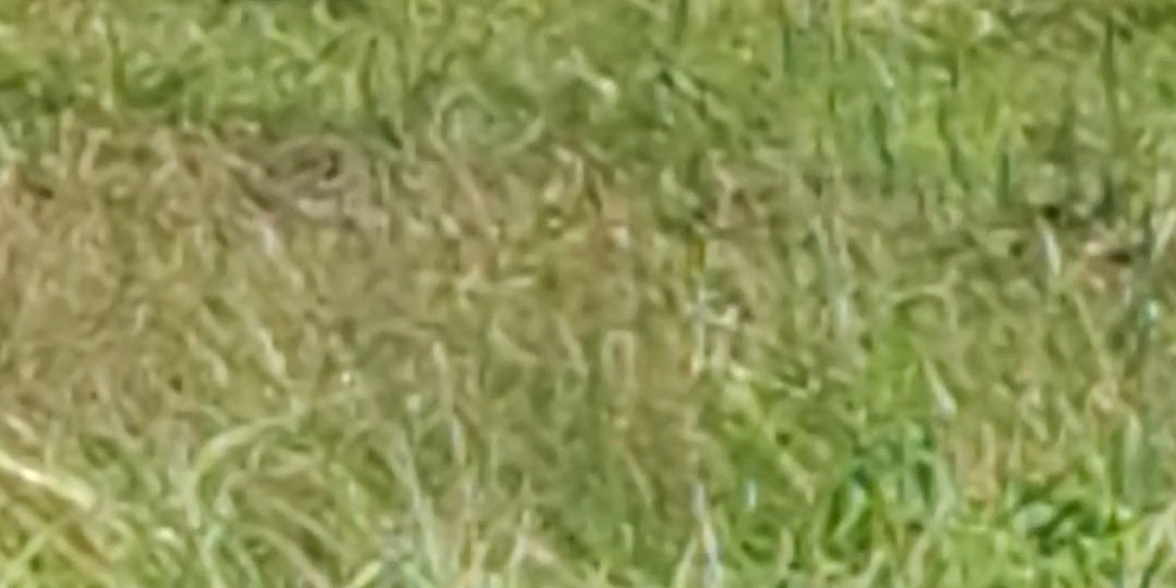 Маленькое счастье