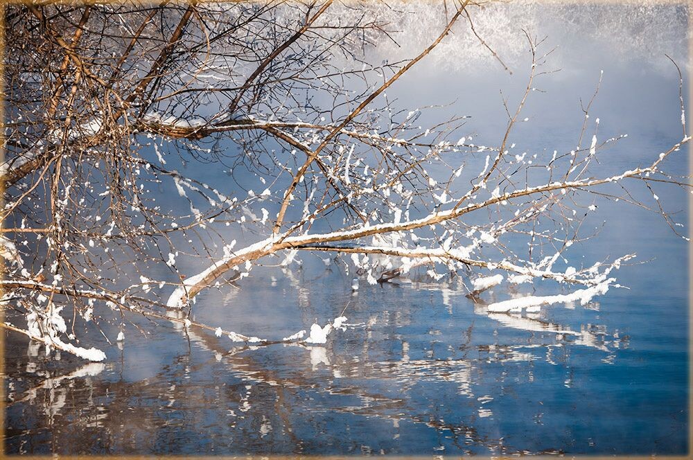 красивую фоточку взяла из интернета