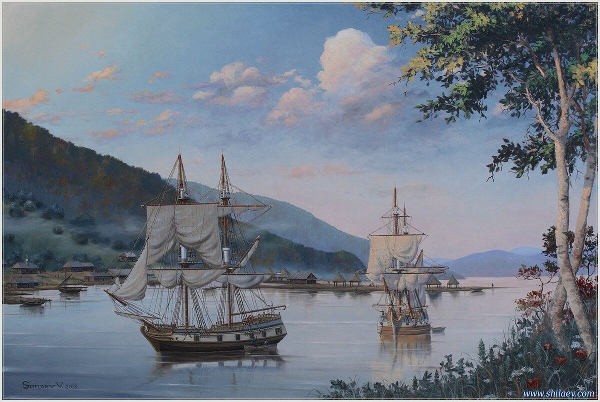 Фото и изображения из открытого доступа сети интернет