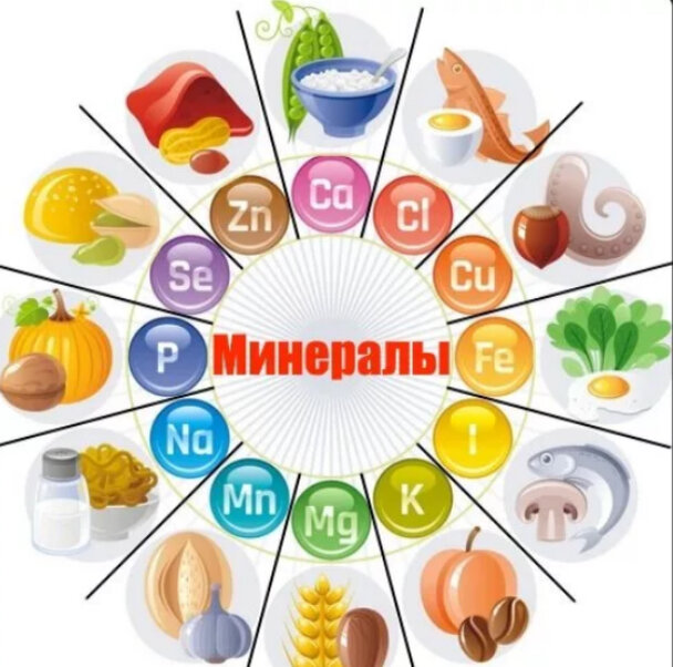 Источник Яндекс Картинки