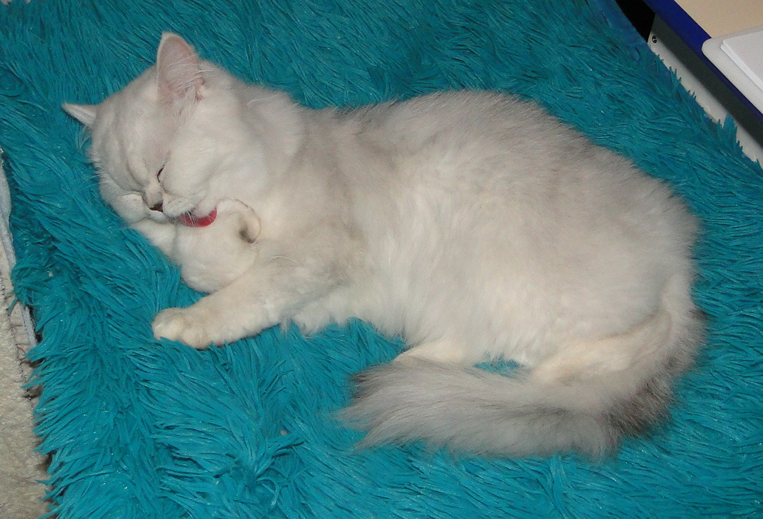 Фото из личного архива