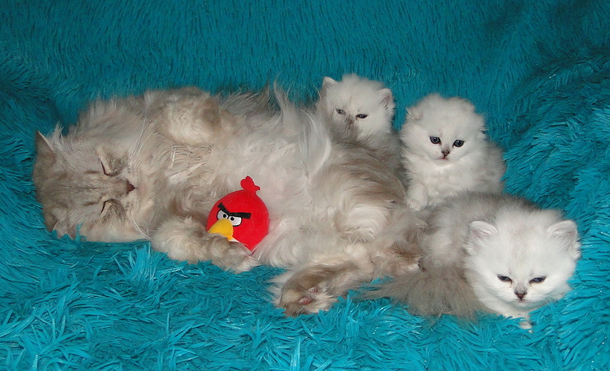 Фото из личного архива