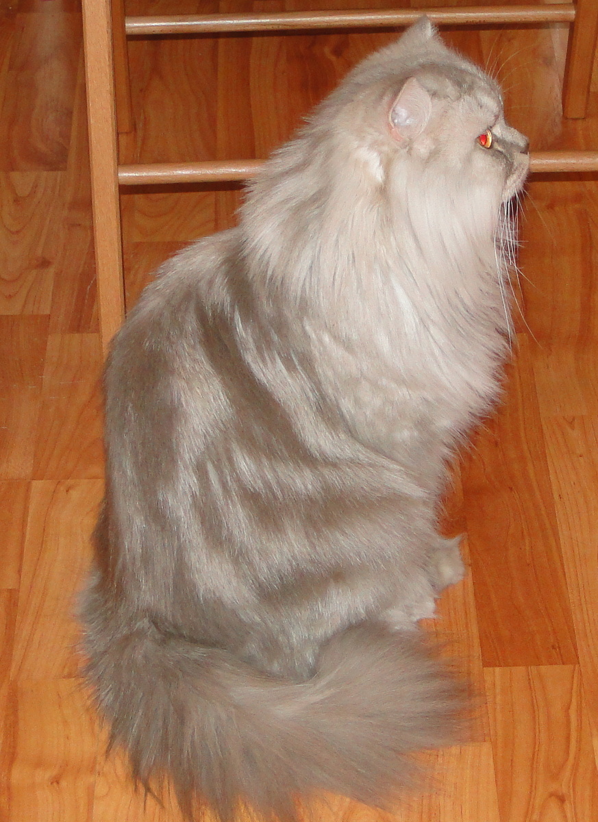 Фото из личного архива