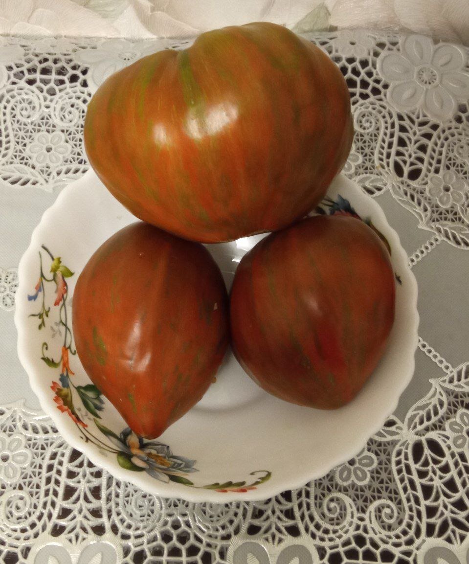 Фото автора. Листайте вправо.