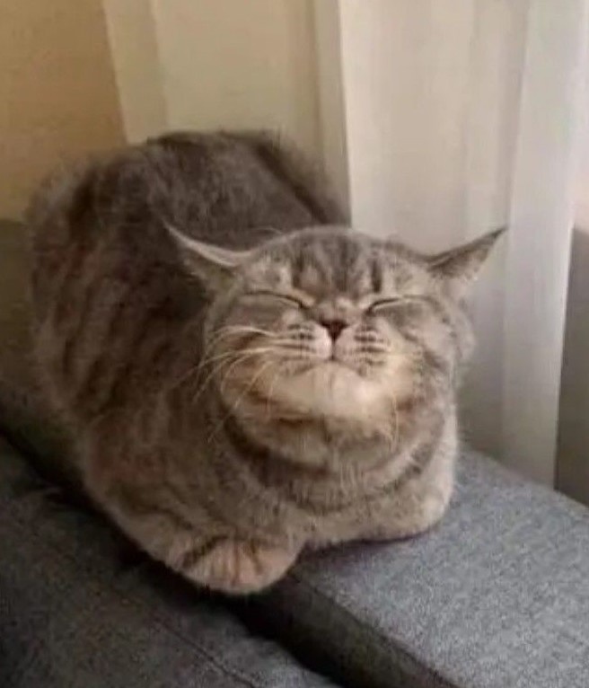 Из свободного доступа