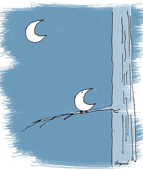 Луна разинула пасть как птица; Птицелуная луна; Сходство луны с птицей задерживает внимание; обнаружение сходства луны с птицей; ♦ https://www.facebook.com/victor.bogorad/posts/pfbid0prtmGFwqy6sbE3TCMptjnVEGpc9q6xWJzDSU3PfCmKS4YMYqbpqnrvxJ2XBrjpxbl