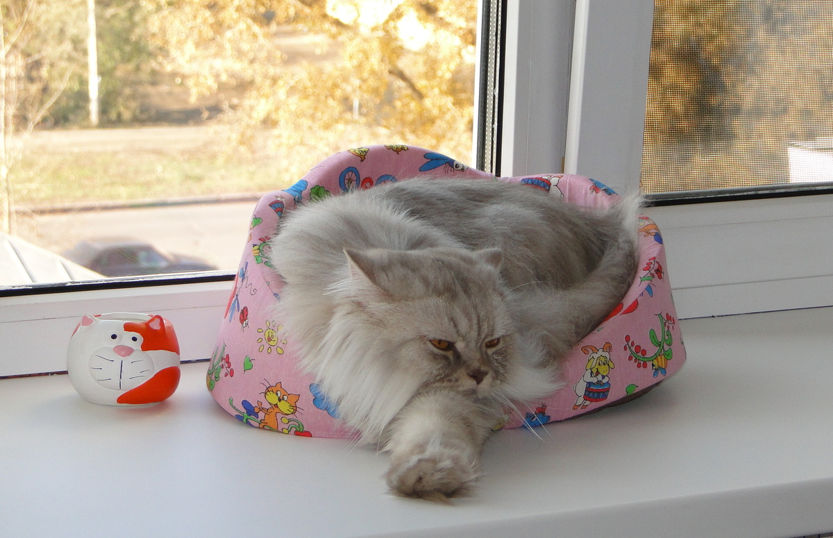 Фото из личного архива