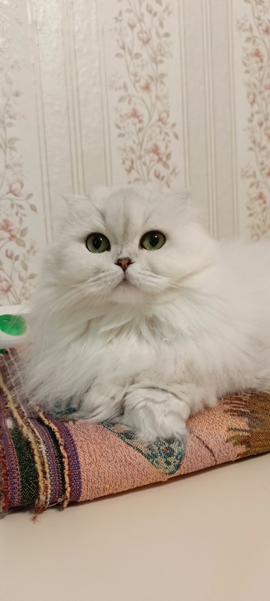 Фото из личного архива