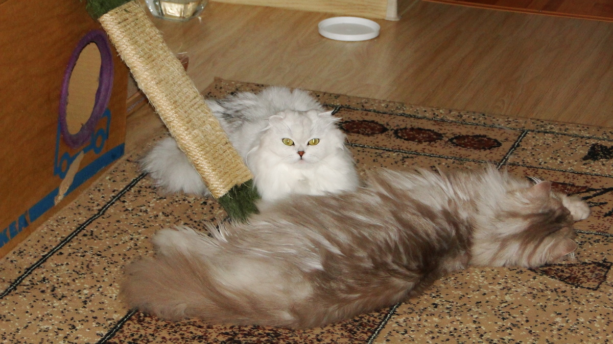 Фото из личного архива