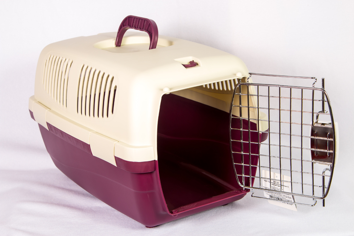 Фото из личного архива