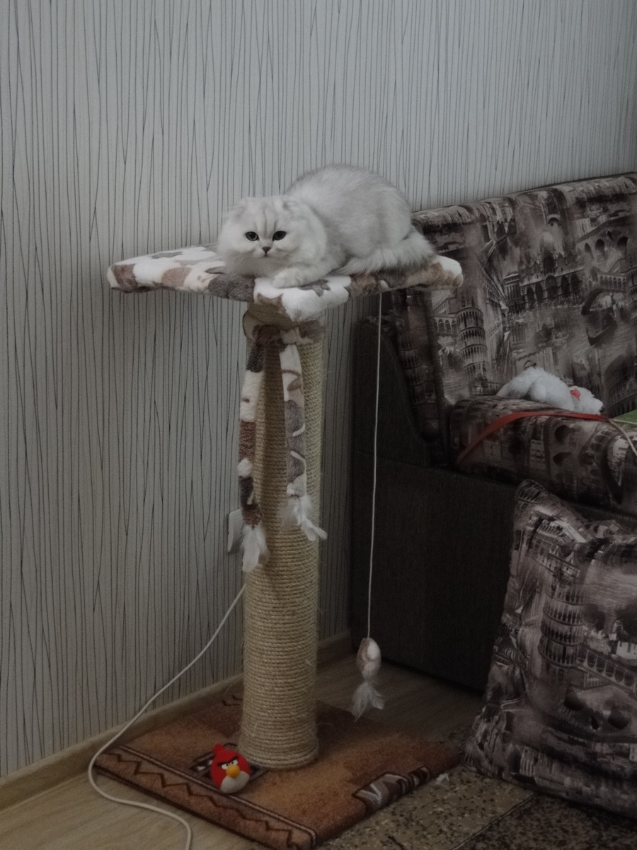 Фото из личного архива