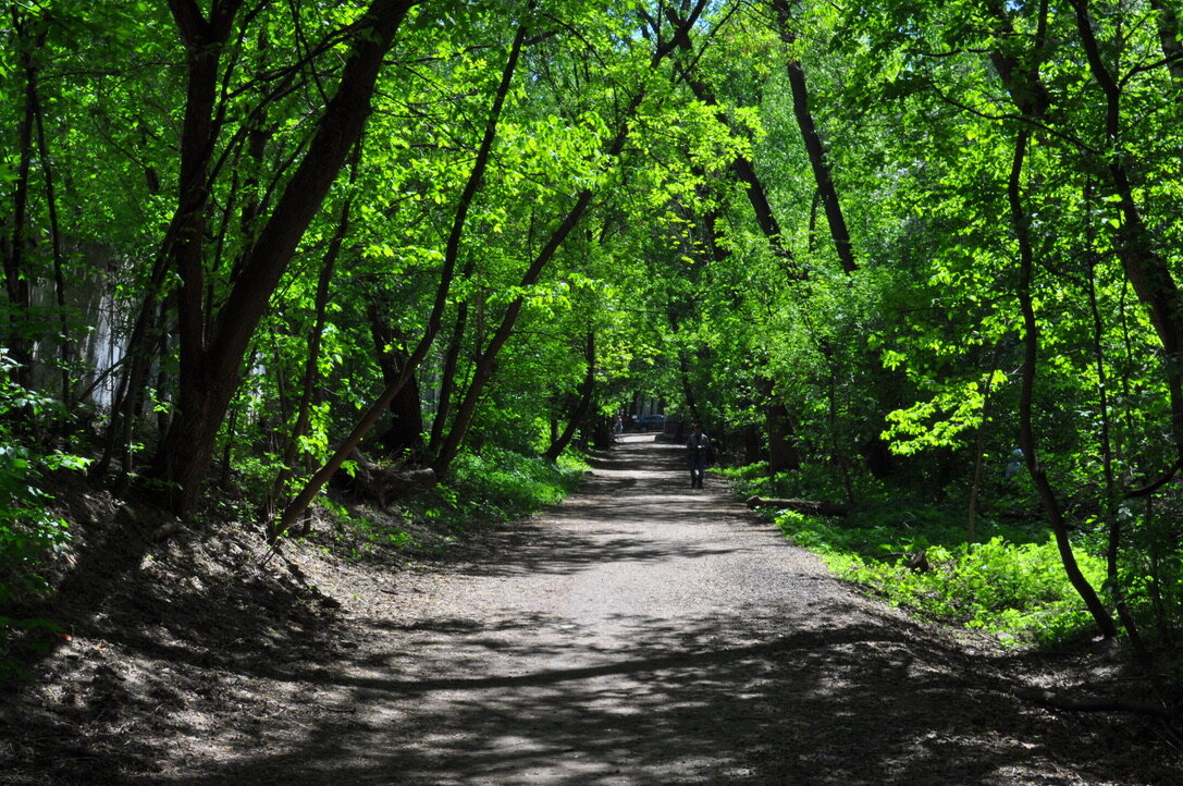 Любимый Тимирязевский