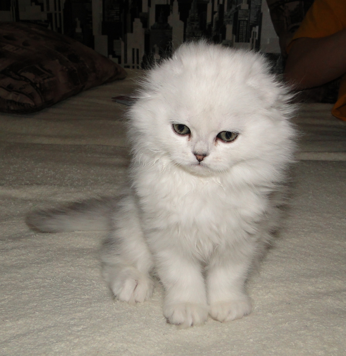 Фото из личного архива