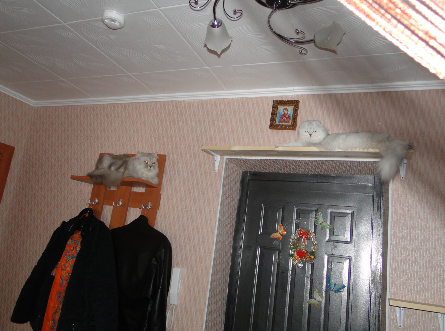 Фото автора