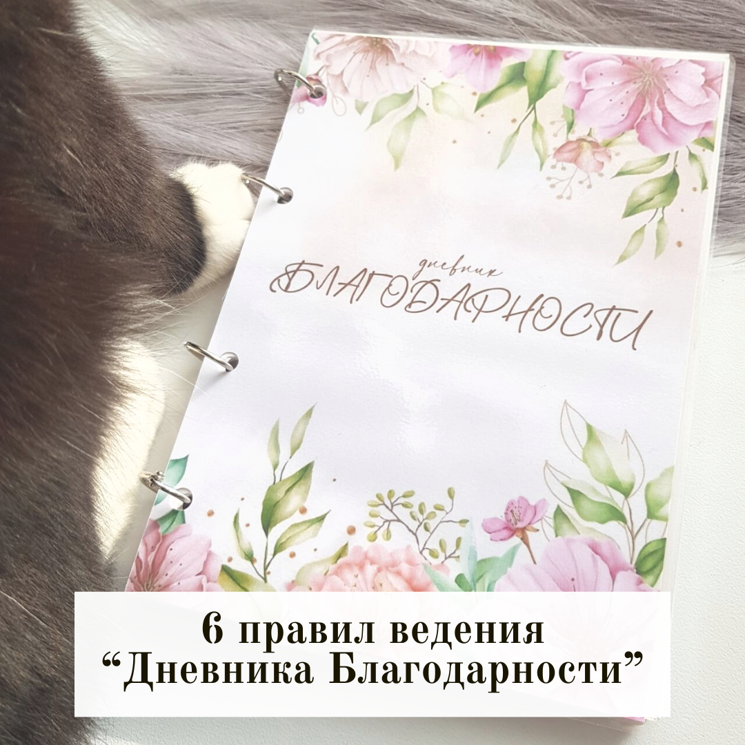 Изображение автора блога "Так Выпала Карта"